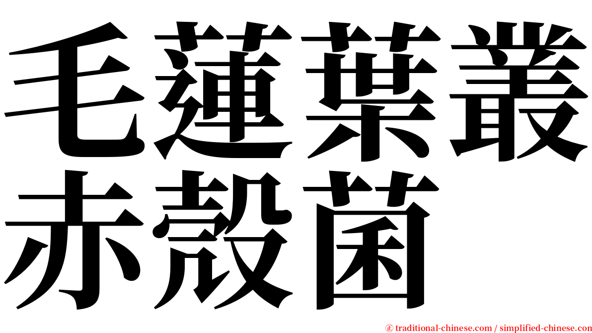 毛蓮葉叢赤殼菌 serif font