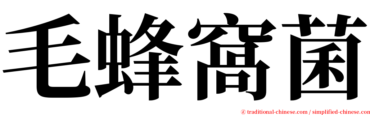 毛蜂窩菌 serif font