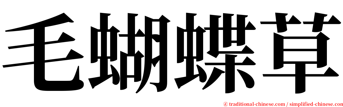 毛蝴蝶草 serif font