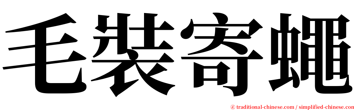 毛裝寄蠅 serif font