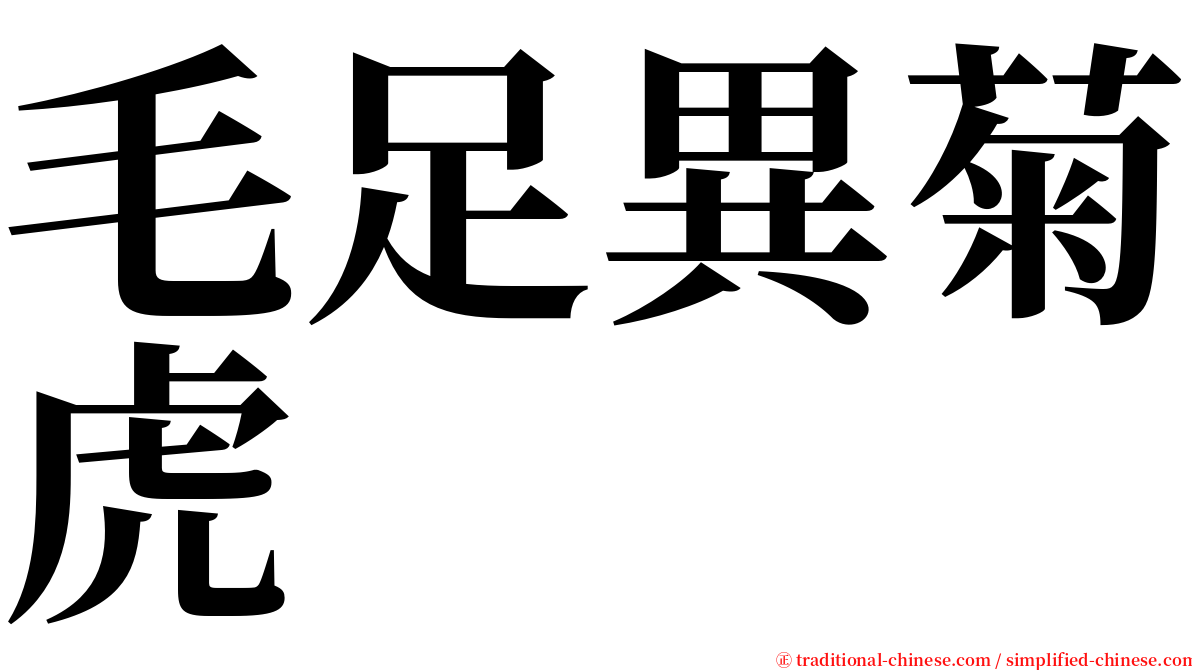 毛足異菊虎 serif font