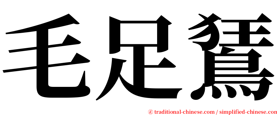 毛足鵟 serif font