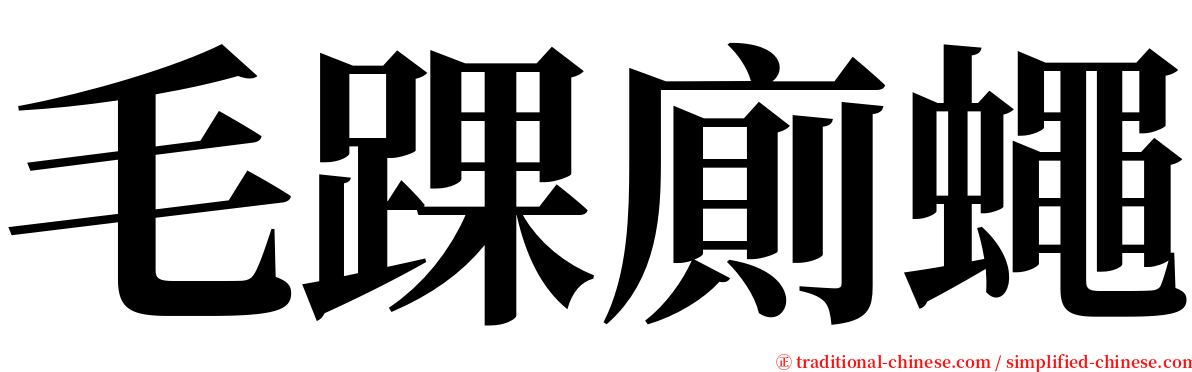 毛踝廁蠅 serif font