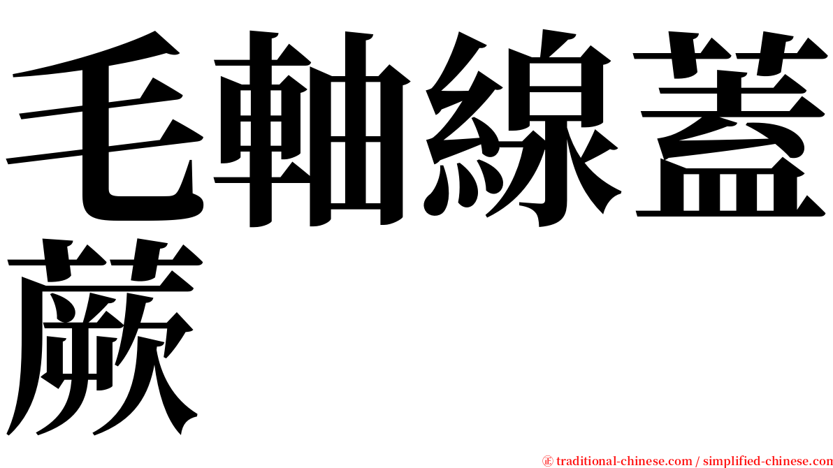 毛軸線蓋蕨 serif font