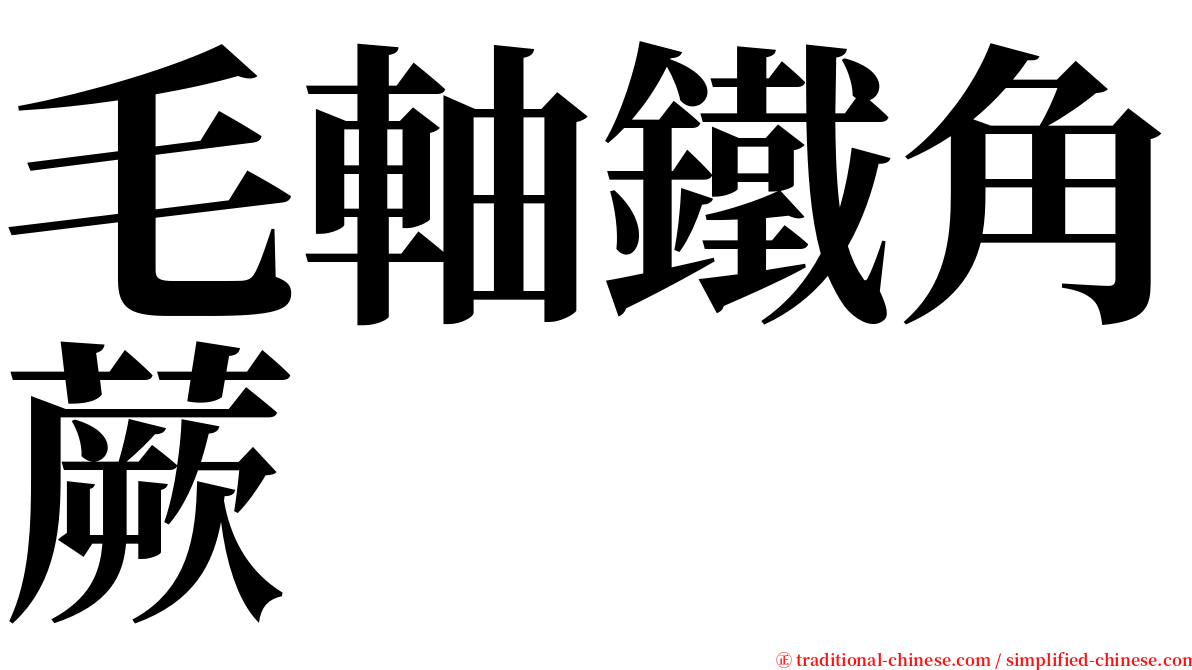 毛軸鐵角蕨 serif font