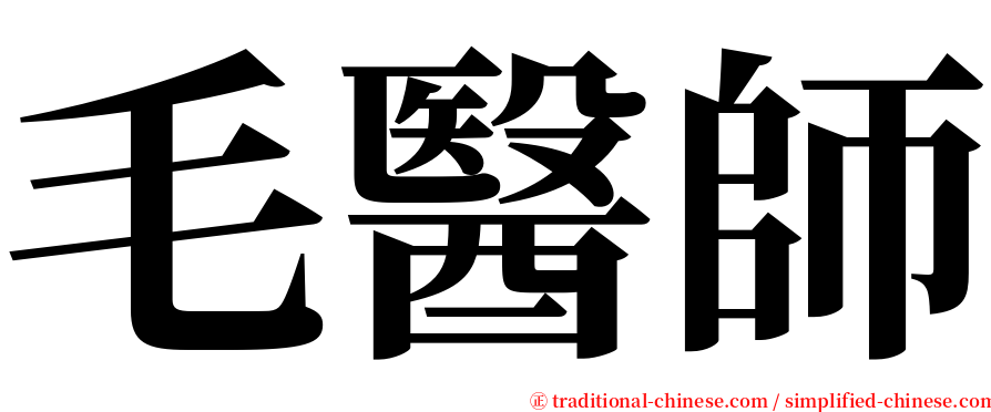 毛醫師 serif font