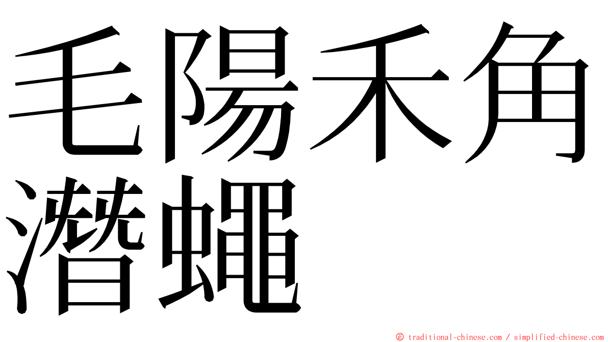 毛陽禾角潛蠅 ming font