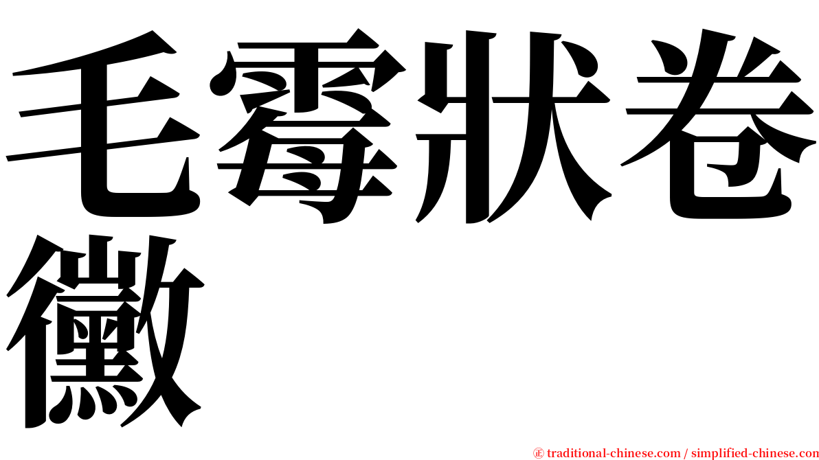 毛霉狀卷黴 serif font