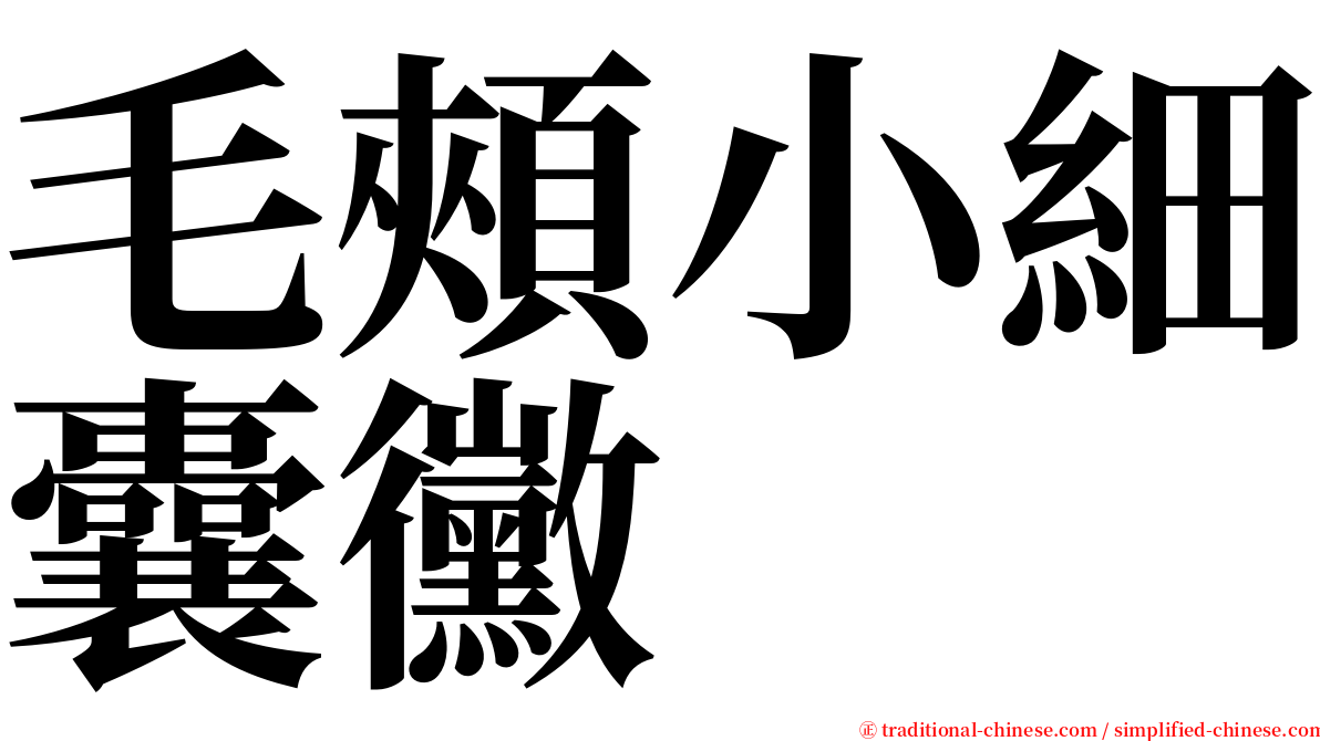 毛頰小細囊黴 serif font