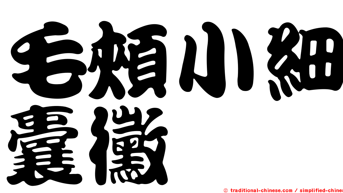毛頰小細囊黴