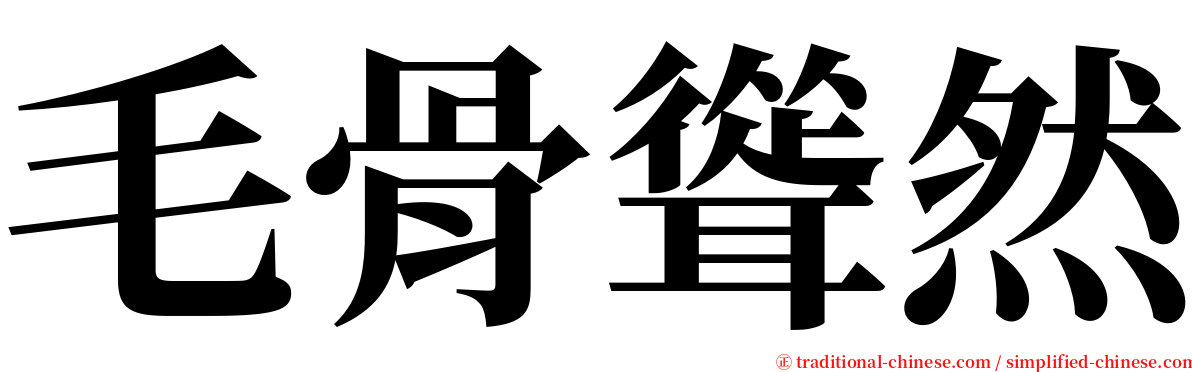 毛骨聳然 serif font