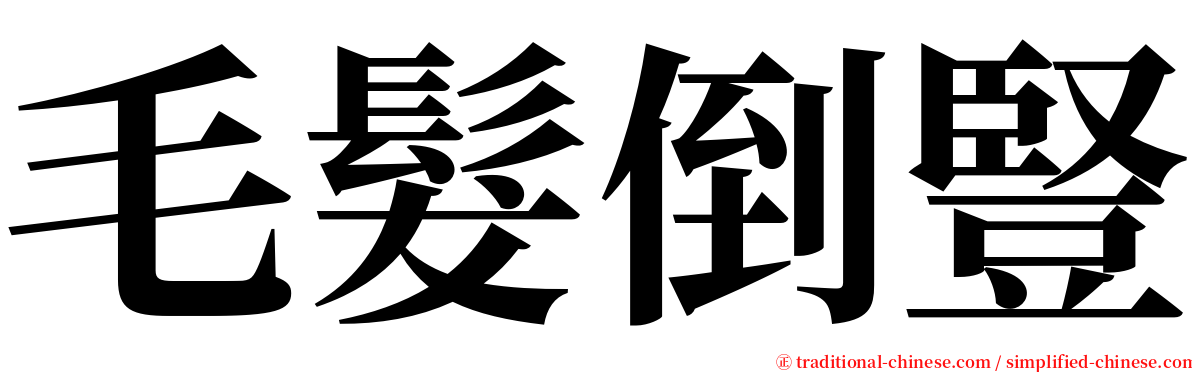 毛髮倒豎 serif font