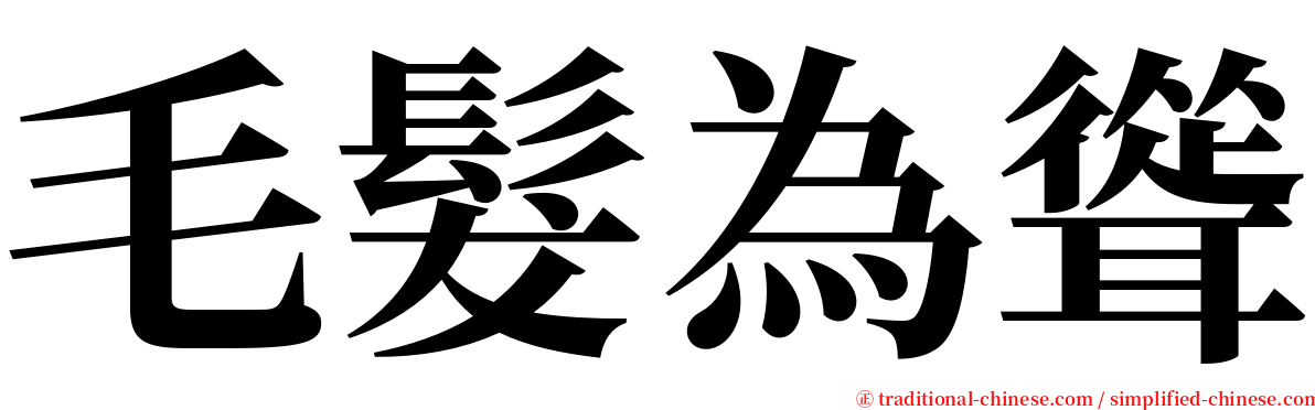 毛髮為聳 serif font