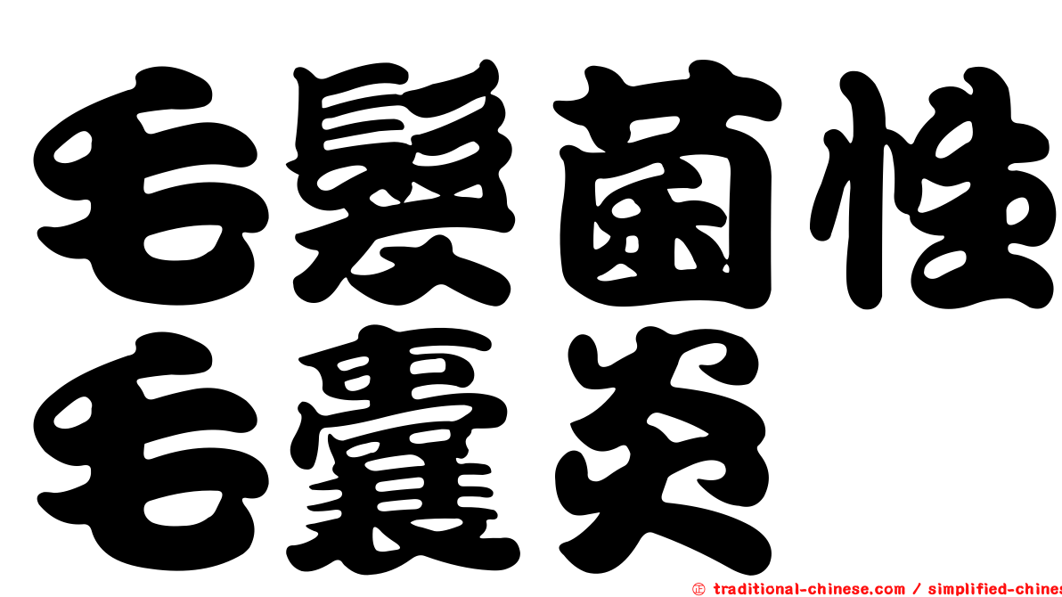 毛髮菌性毛囊炎