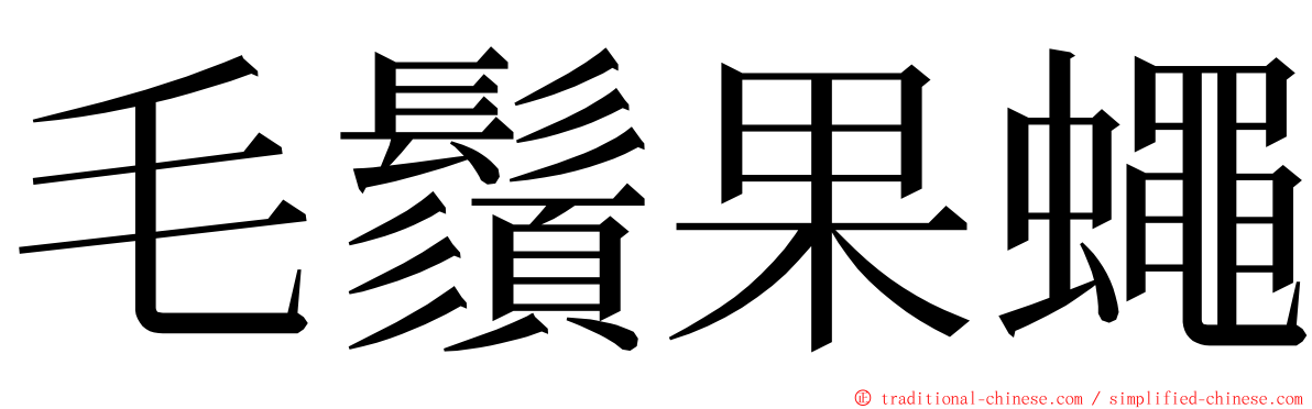 毛鬚果蠅 ming font