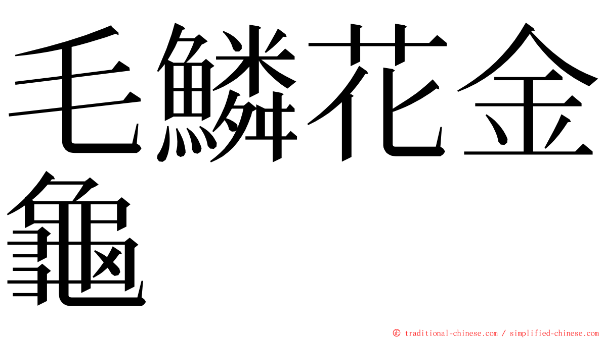 毛鱗花金龜 ming font