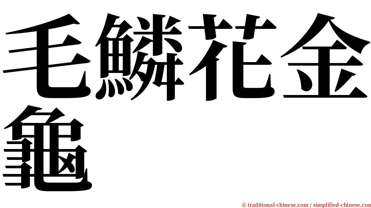 毛鱗花金龜 serif font