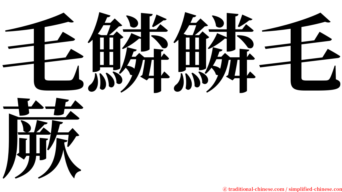 毛鱗鱗毛蕨 serif font