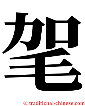 毠 serif font