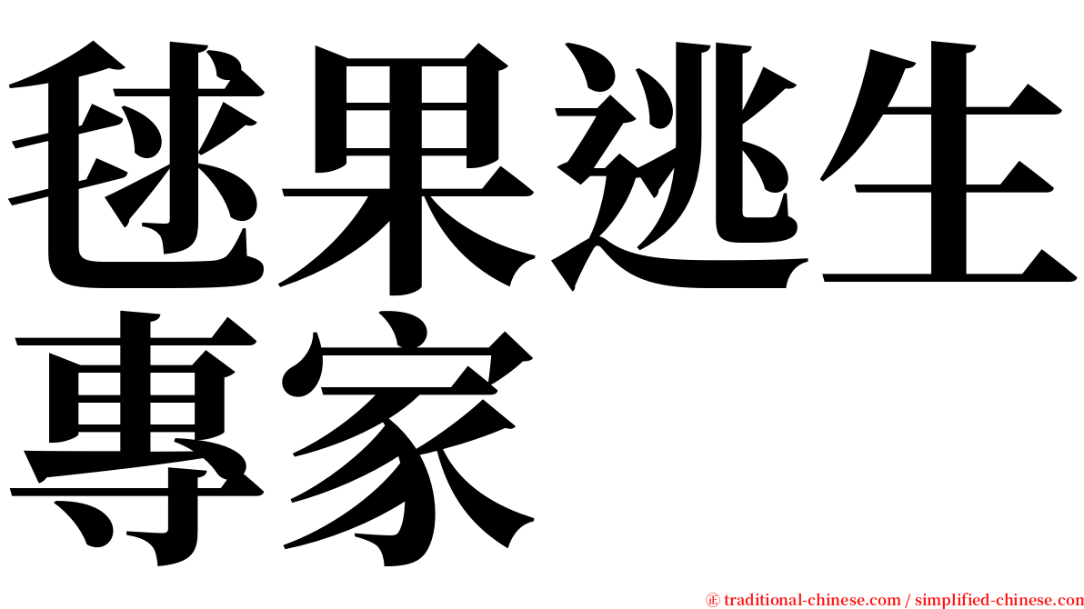 毬果逃生專家 serif font