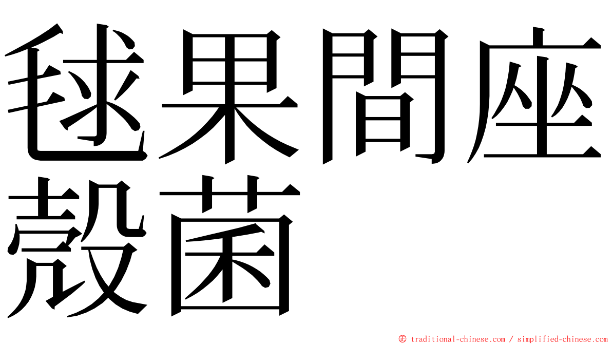 毬果間座殼菌 ming font