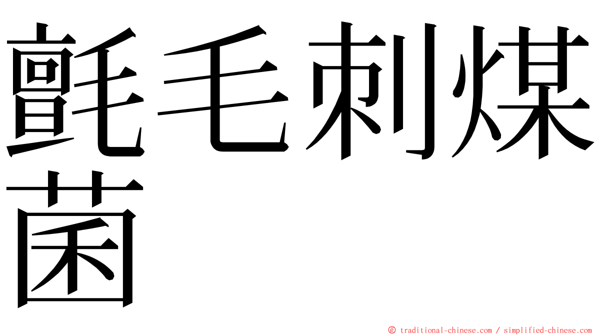 氈毛刺煤菌 ming font