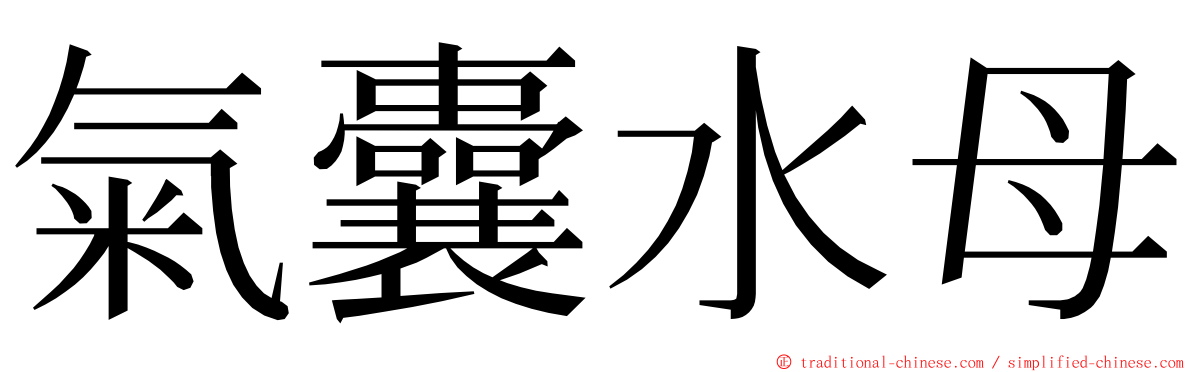 氣囊水母 ming font