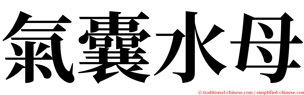 氣囊水母 serif font