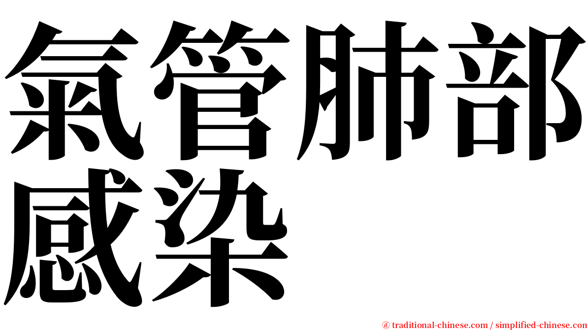 氣管肺部感染 serif font