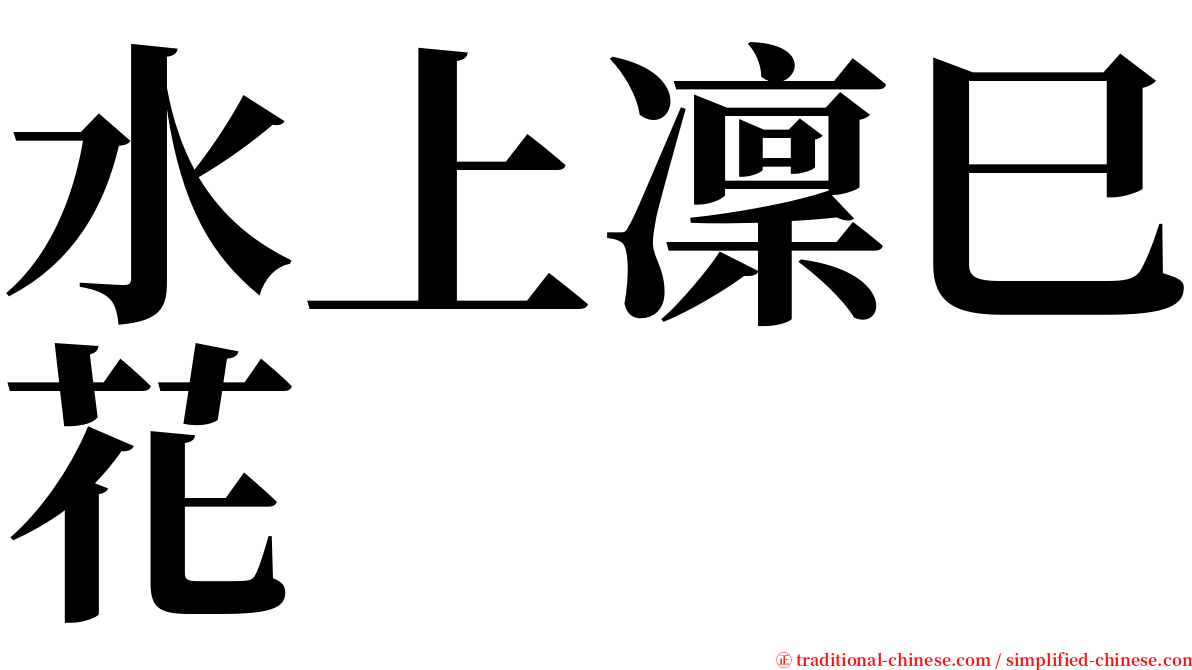 水上凜巳花 serif font