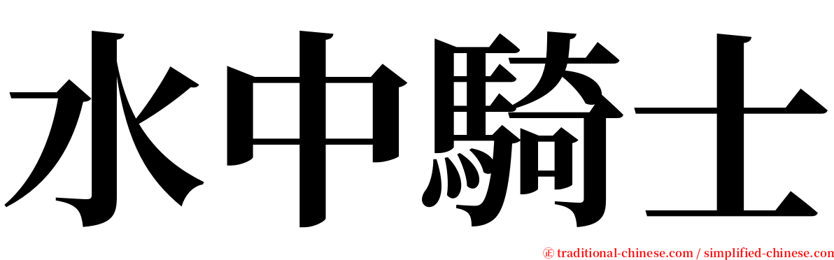 水中騎士 serif font