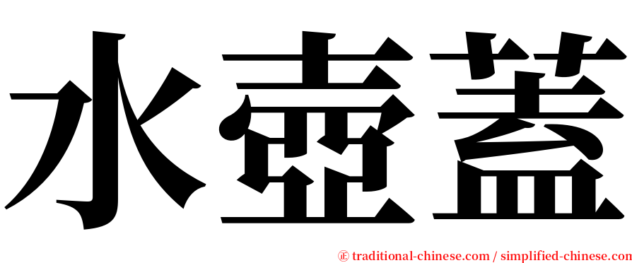 水壺蓋 serif font