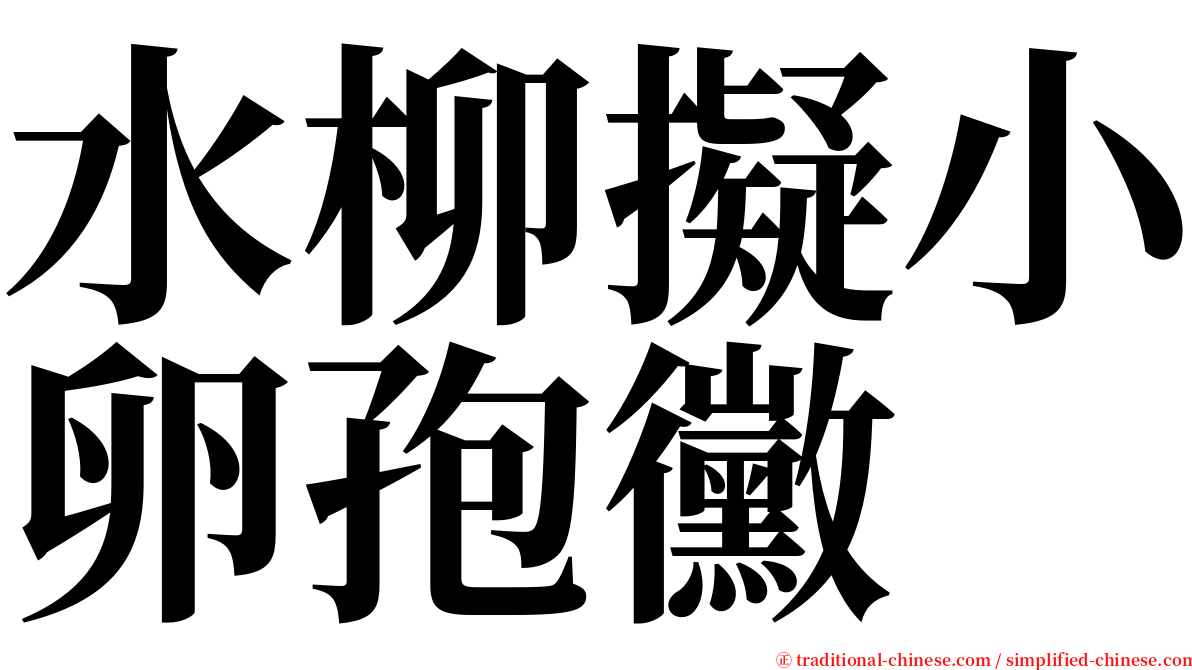 水柳擬小卵孢黴 serif font