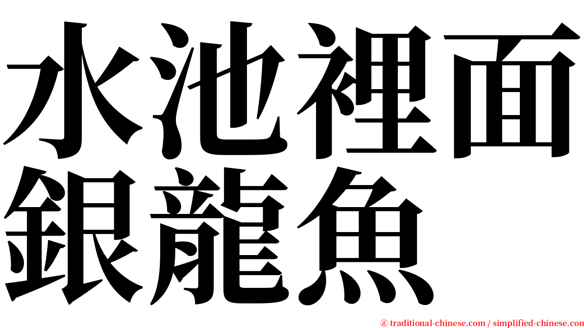 水池裡面銀龍魚 serif font
