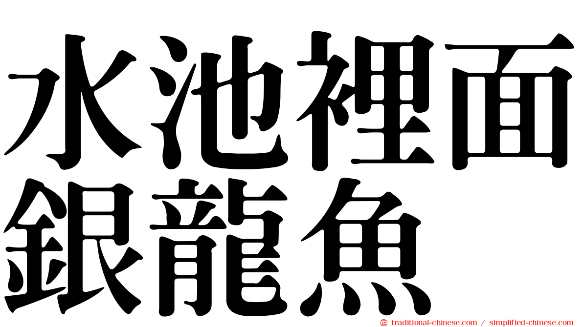 水池裡面銀龍魚