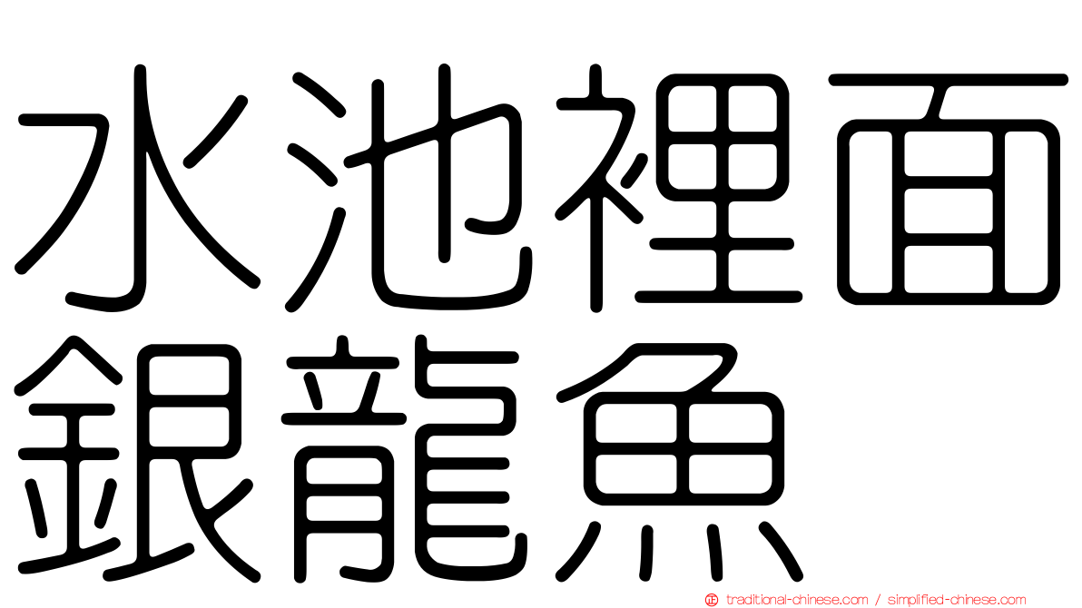 水池裡面銀龍魚