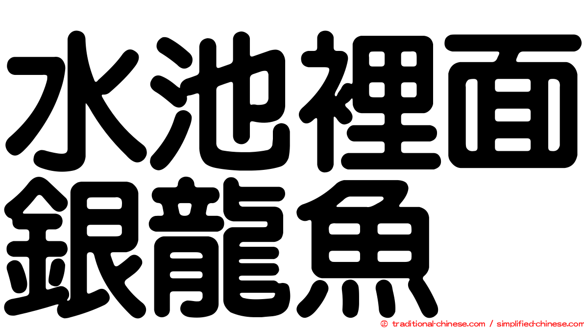 水池裡面銀龍魚