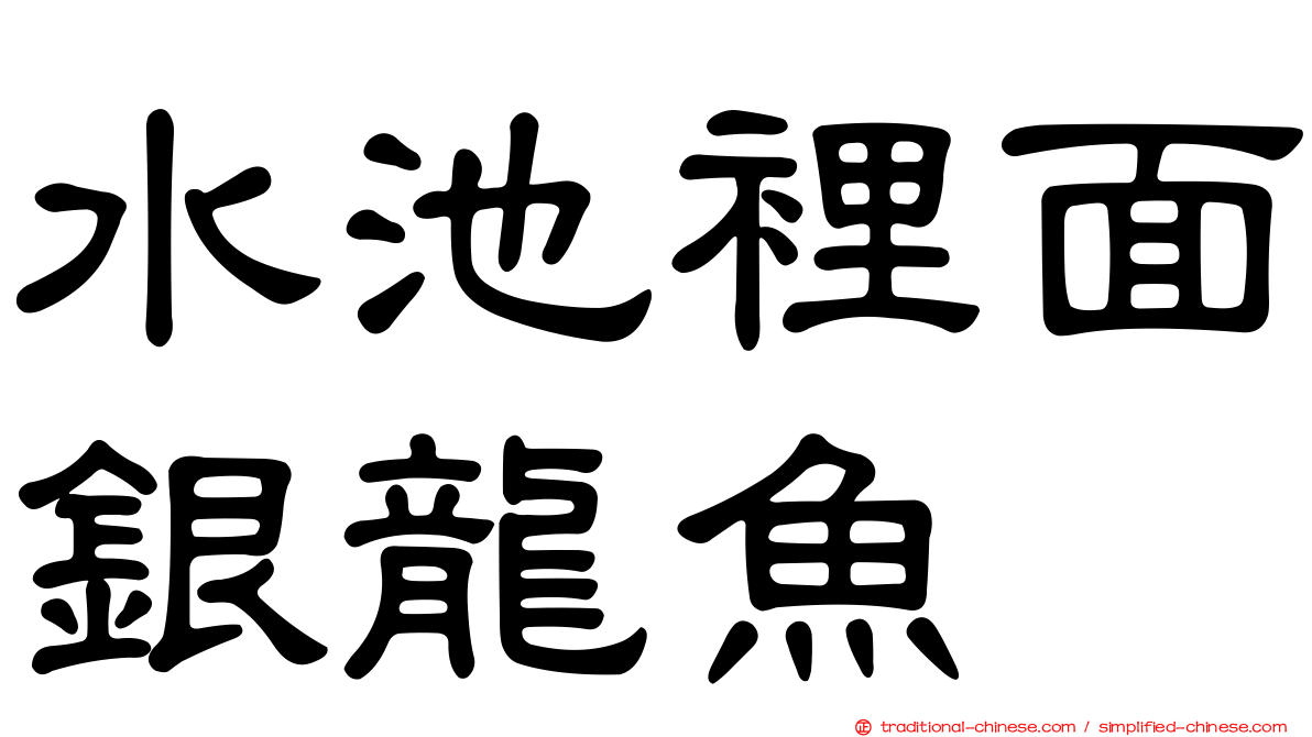 水池裡面銀龍魚
