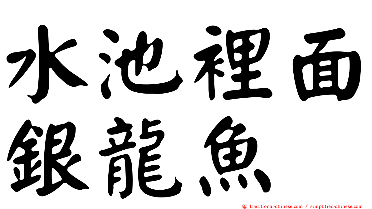 水池裡面銀龍魚
