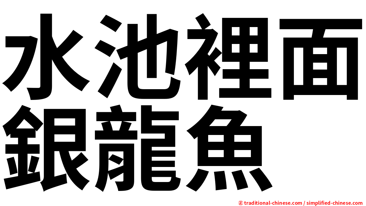 水池裡面銀龍魚