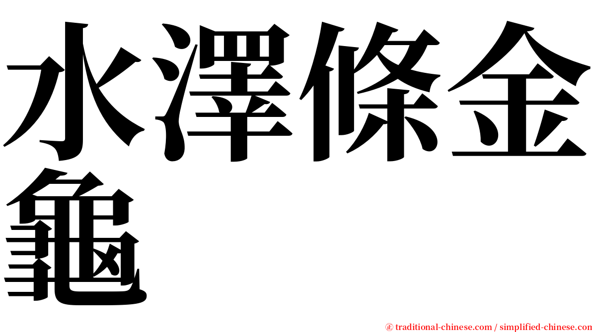 水澤條金龜 serif font