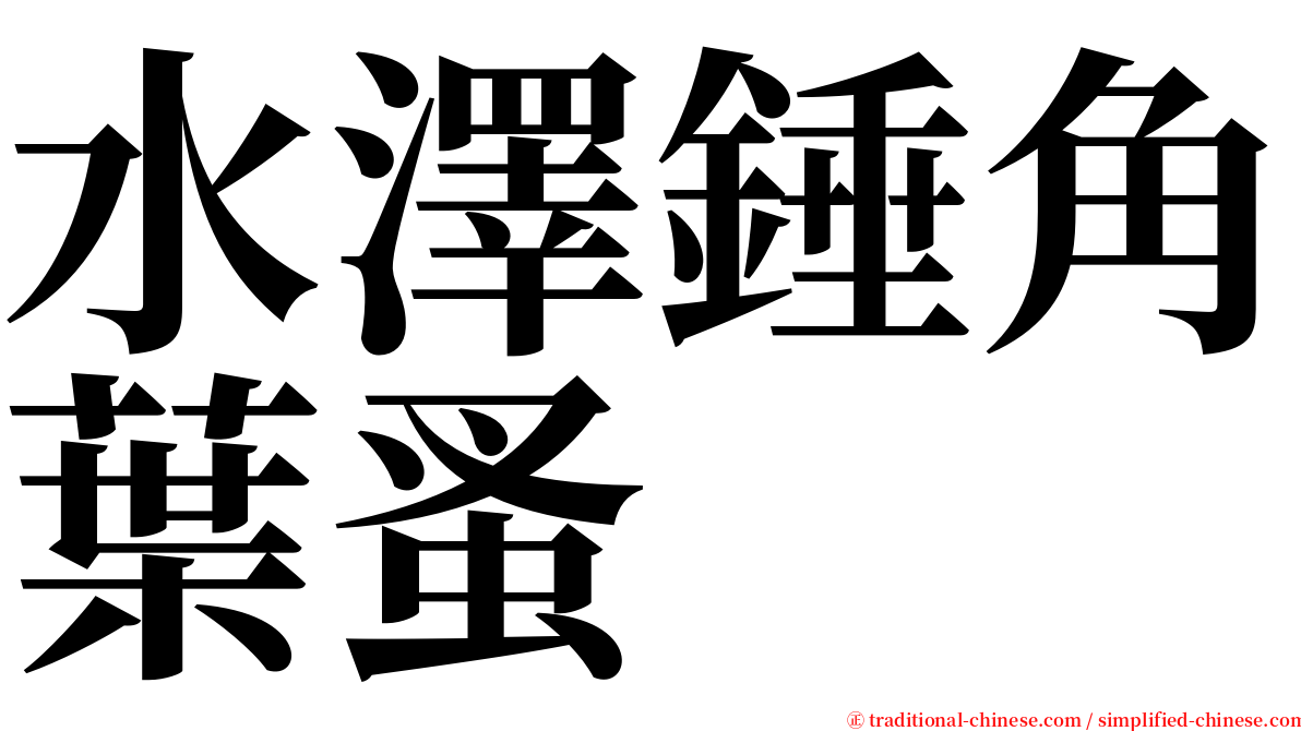 水澤錘角葉蚤 serif font