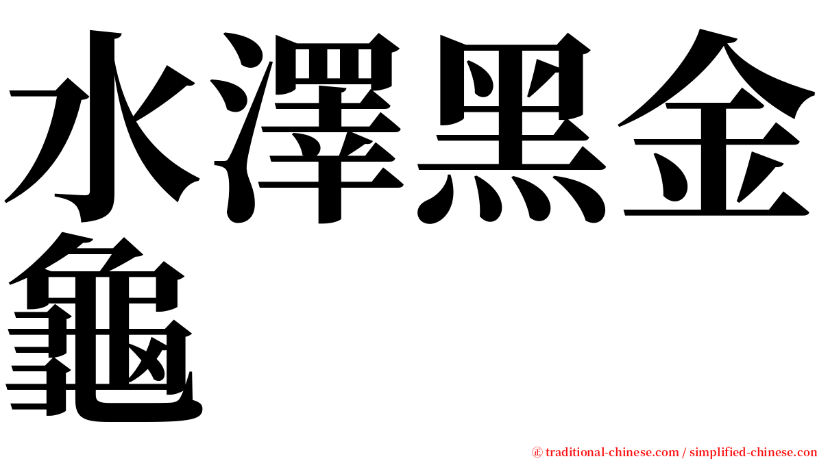 水澤黑金龜 serif font