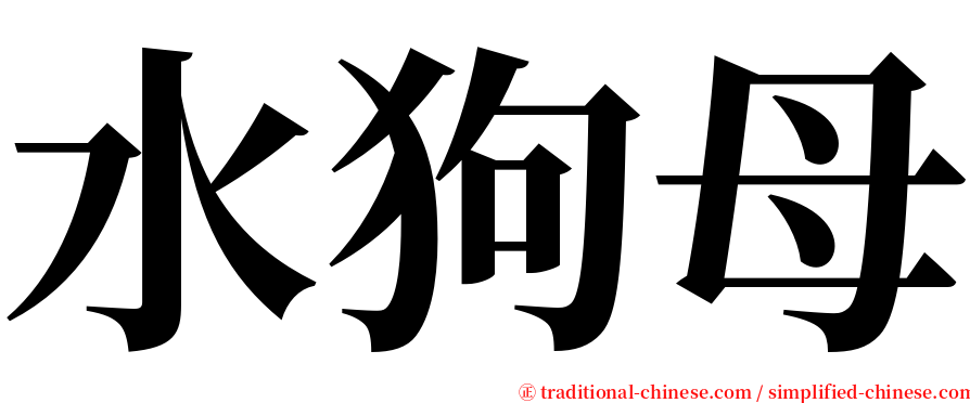 水狗母 serif font