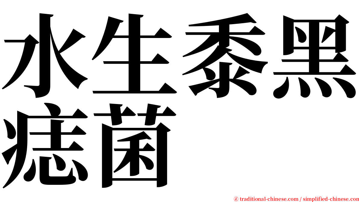 水生黍黑痣菌 serif font