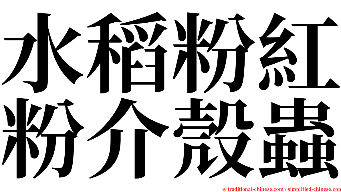 水稻粉紅粉介殼蟲 serif font