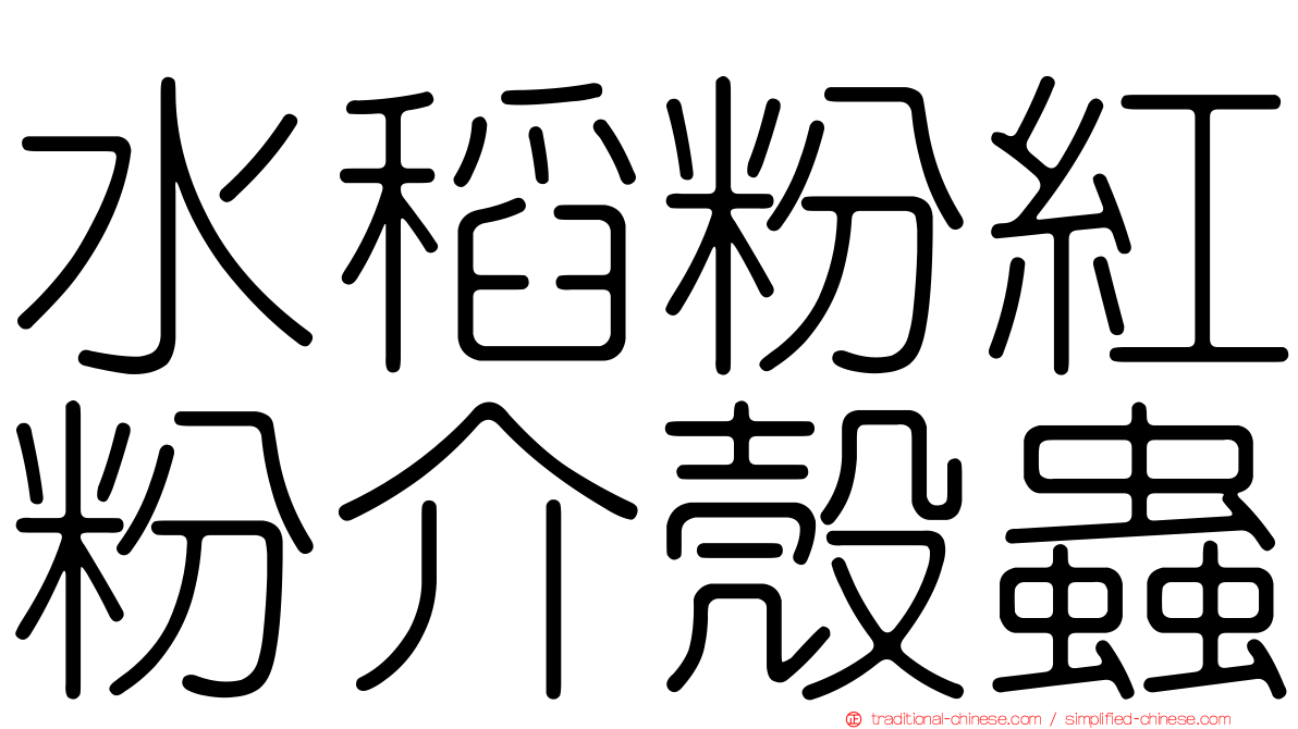 水稻粉紅粉介殼蟲