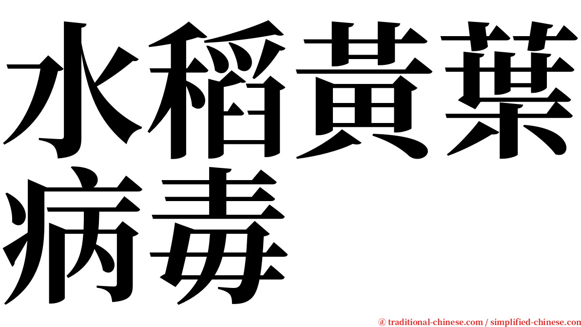 水稻黃葉病毒 serif font