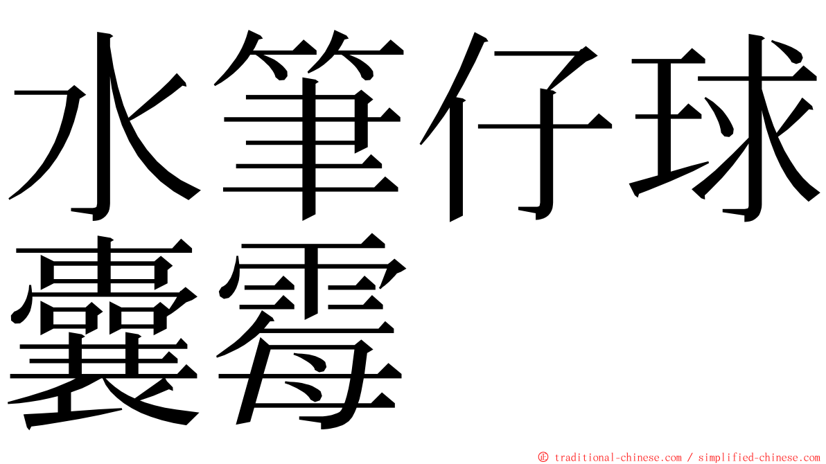 水筆仔球囊霉 ming font