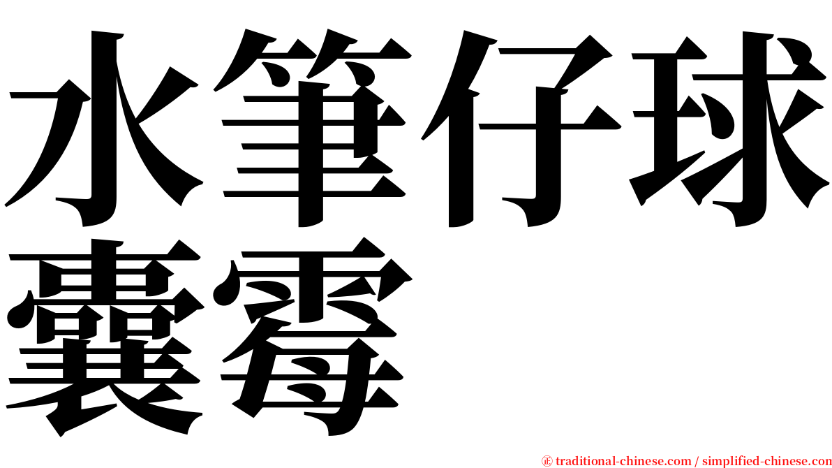 水筆仔球囊霉 serif font